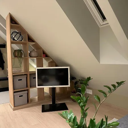 Cozy And Modern In Hamna 아파트