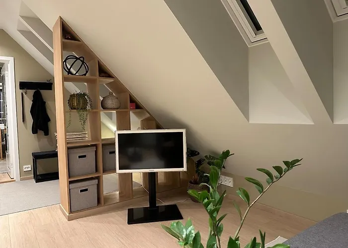 Cozy And Modern In Hamna 아파트