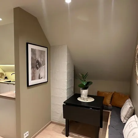 Apartment Cozy And Modern In Hamna Tromso